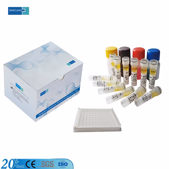 Singclean Ivd Wholesale Medical Supply Antigen Diagnostic rapide Ovulation Std Urine Drug VIH Kit de bandelettes de test de grossesse (méthode de l'or colloïdal)